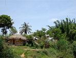 About Coorg, Karnataka, Budget Hotels in Coorg