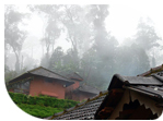 Coorg Weather and Climate