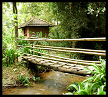 Acticities in RainForest Retreat in Coorg