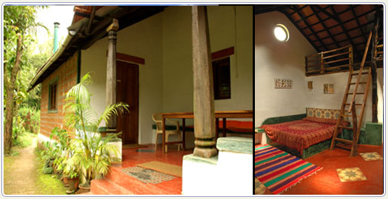 Photographs of Eco Friendly Lodge in Coorg, Rain Forest Retreat